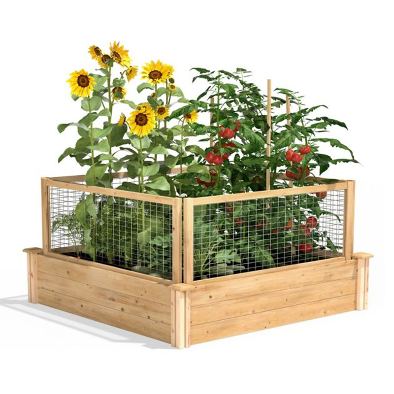 3.9ft x 3.9ft Raised Garden Bed Box with Segmented Growing Grid, Wood Material for Backyard Plants & Herbs